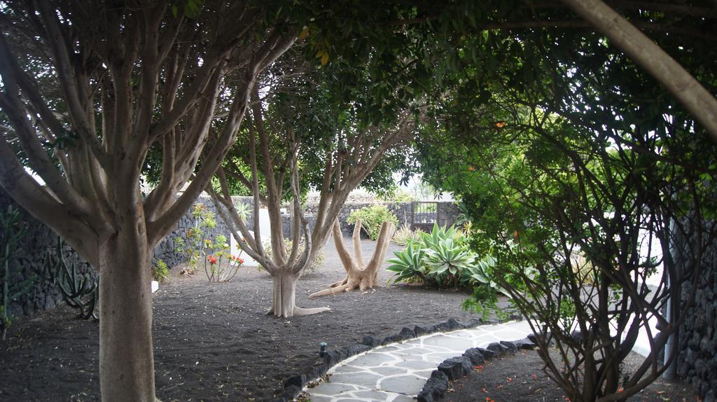 Mozaga Finca La Rubina المظهر الخارجي الصورة